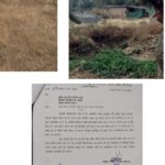 शासकीय भूमि पर अवैध निर्माण जारी..सक्षम व्यवहार न्यायालय के आदेश की अवहेलना पर भी प्रशासन मौन – जांच की मांग तेज…जिम्मेदार अधिकारियों की भूमिका पर उठे सवाल…