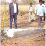 पाम ऑयल खेती को बढ़ावा: कलेक्टर का निरीक्षण…