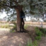 पेड़ पर सड़ी-गली हालत में मिला युवक का शव, इलाके में सनसनी…