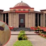 स्कूल में आरटीई के तहत पढ़ रहे बच्चों से कराई मजदूरी, अब छत्तीसगढ़ हाई कोर्ट ने मांगा जवाब…