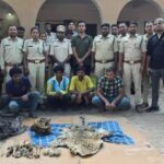 छत्तीसगढ़:तांत्रिक पूजा के लिए तेंदुआ का शिकार, दो खाल, हड्डी और नाखून के साथ 5 आरोपी गिरफ्तार…