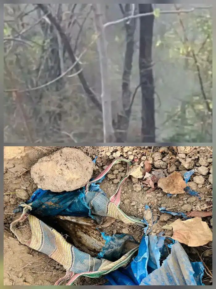 image_editor_output_image890582727-1781484988326.jpg