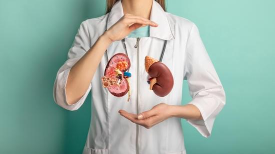canva-female-doctor-with-a-stethoscope-is-holding-mockup-human-kidney-.-help-and-care-concept-MAFaZOTlpjE.jpg