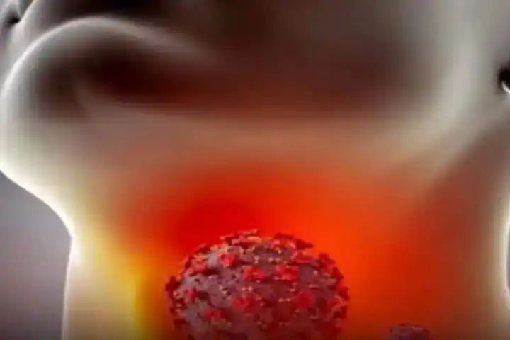 image_editor_output_image-1184457551-1786416052927.jpg